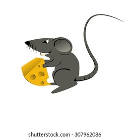 Small painted gray rat with a long tail, holding in the paws of a piece of cheese on a white background