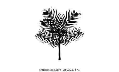 small palm tree, black isolated silhouette