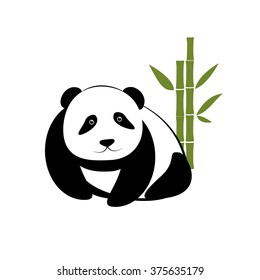 Small panda with bamboo on white background