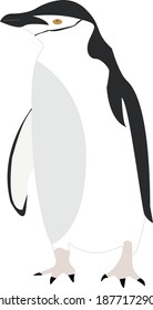 Small Penguin, illustration, vector on white background