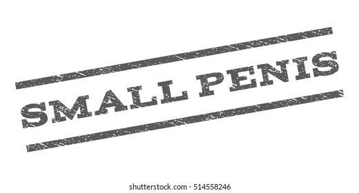 Small Penis watermark stamp. Text caption between parallel lines with grunge design style. Rubber seal stamp with scratched texture. Vector grey color ink imprint on a white background.