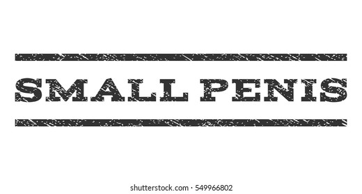 Small Penis watermark stamp. Text caption between horizontal parallel lines with grunge design style. Rubber seal gray stamp with unclean texture. Vector ink imprint on a white background.