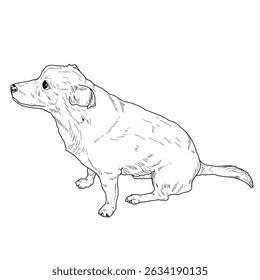 A small pet dog is sitting, a black and white ink sketch. Vector illustration.A lap dog, a puppy, isolated on a white background. The drawing is made in a simple style