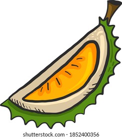 Small piece of durian, illustration, vector on white background