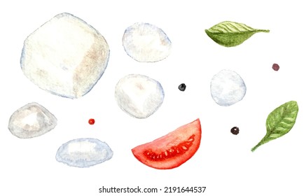 Small pieces of mozzarella with tomato and basil leaves watercolor illustration on a white background