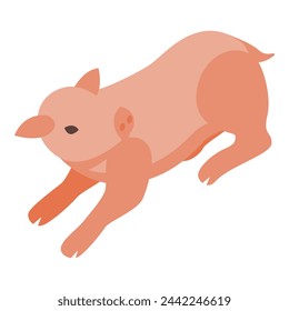 Kleines Schwein-Icon isometrische Vektor. Nutztiere. Netter Bauer auf dem Land