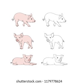 small pigs drawings set