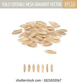 Small pile of long grain brown rice.