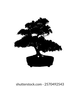 small pine tree silhouettes, silhouette of a bonsai tree in a pot - vector illustration