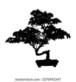 small pine tree silhouettes, silhouette of a bonsai tree in a pot - vector illustration