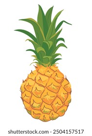Small pineapple common in Mauritius. Mini fruit in flat style. Vector ripe juicy pineapple on white background.
