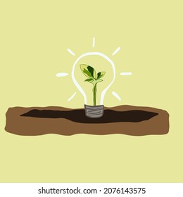 A small plant born in a light bulb. Environment, ecology concept.
