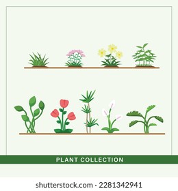 Small Plant Collection for Web or Print