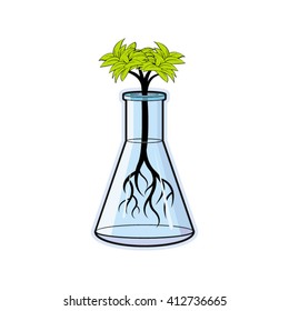 small plant inside glass beaker in color