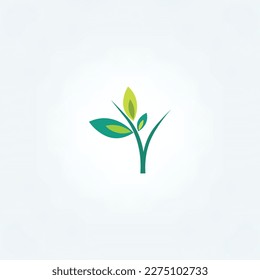 small plant with leaves, eco