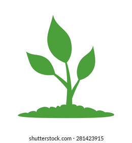 Small plant or natural plant life flat vector icon for apps and websites
