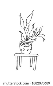 small plant on table illustration drawing