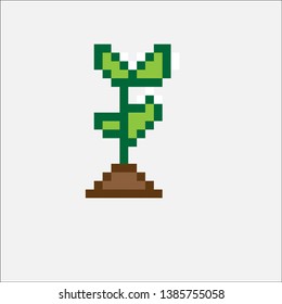 Small plant on white background 