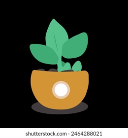Pequeña planta en una olla