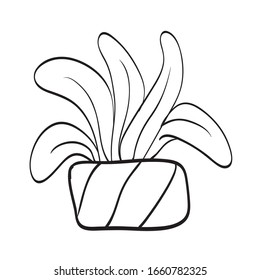 small plant in pot succulents or cactus.  hand drawn plant illustration on pot. Black and white vector illustration for coloring book. 