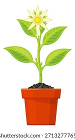 Uma planta pequena está em um vaso vermelho