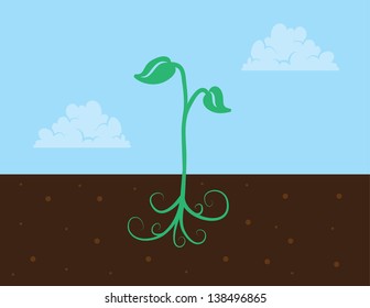 Small plant with roots in the dirt 