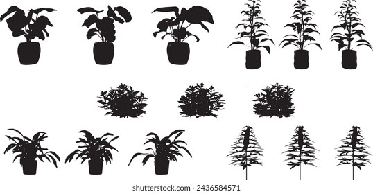 Small Plant Silhouette - Set Of silhouettes Small Plants 