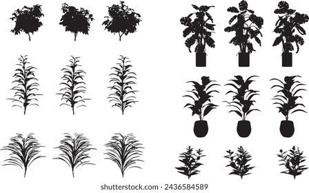 Small Plant Silhouette - Set Of silhouettes Small Plants 