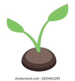 Small plant with two green leaves growing from brown ground in isometric view