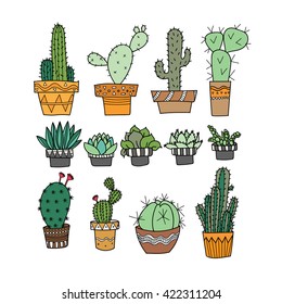 Small plants and Cactus hand doodle