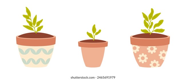 Small plants in a flower pots doodle collection. Hand drawn vector illustration isolated on white background.