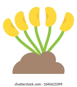 Small plants representing concept of organic kitchen gardening