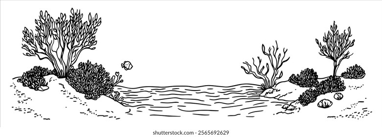 small pond with bushes and rocky shore illustration