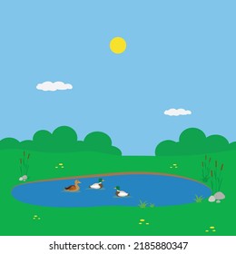 Small pond with ducks on a sunny day