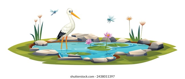 Small pond with white stork, dragonflies and water lily. Vector cartoon illustration