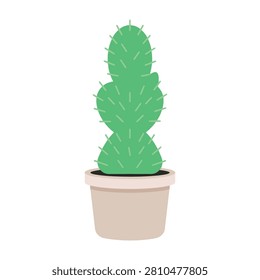 A small potted cactus plant with green prickly stems, decorative houseplant for indoor spaces