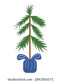 Small Potted Christmas Tree