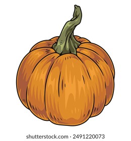 Small pumpkin colorful detailed sticker with organic vegetable from fresh harvest collected on thanksgiving eve vector illustration