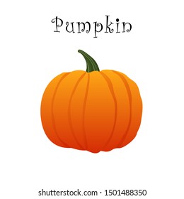 Small pumpkin  on a white background with the inscription. Vector illustration. Halloween Pumpkin.