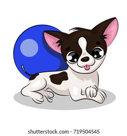 small puppy funny shaggy dog  with  ball