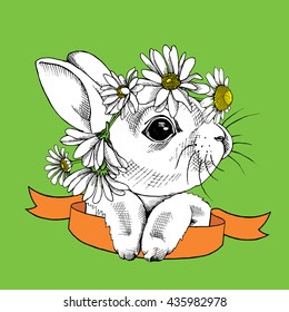 Small rabbit in a chamomile crown with ribbon. Vector illustration.