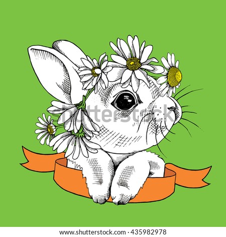 Download Small Rabbit Chamomile Crown Ribbon Vector Stock Vector ...