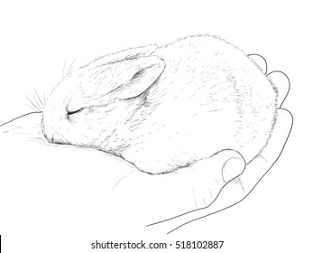small rabbit on hand, graphic sketch