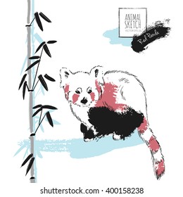Small Red Panda and Bamboo background 