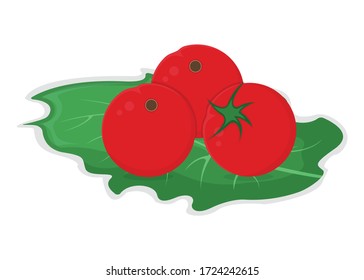 Una pequeña cereza roja de tomate se basa en el concepto de hojas de ensalada verde aisladas en una ilustración blanca vectorial de dibujos animados. Diseñar comida vegetal.