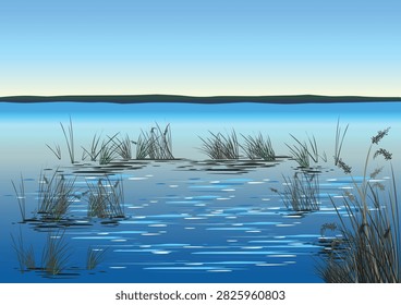 Small reed beds over the blue surface of a lake or river. Hand-drawn vector illustration of the beauty of nature.