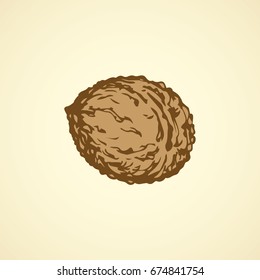Small ripe raw tasty Juglans pod isolated on white backdrop. Freehand outline ink hand drawn picture sign sketchy in art vintage scribble style pen on paper. Closeup view with space for text