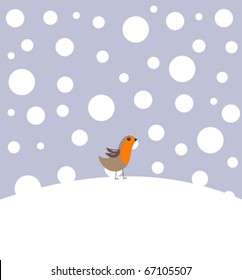 Small robin bird in winter scenery