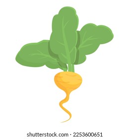 Small root icon cartoon vector. Green turnip. Food farm