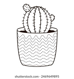 small round cactus in a flower pot